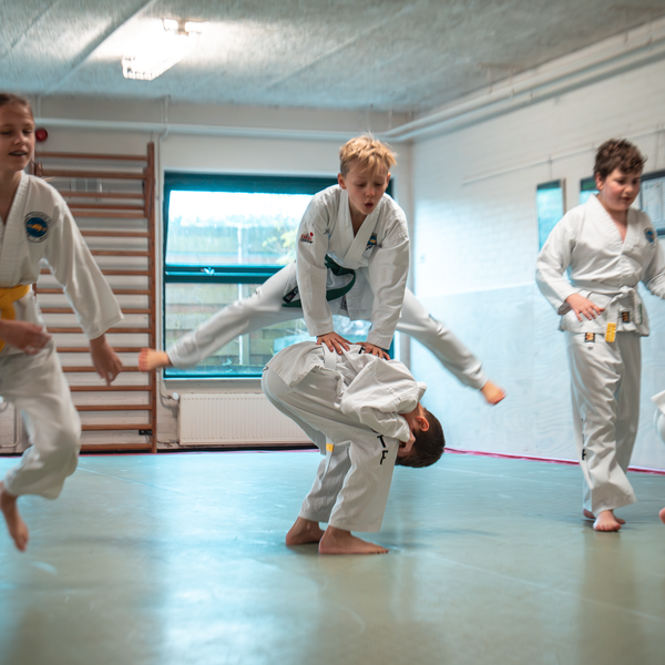 Proefles Taekwon-do